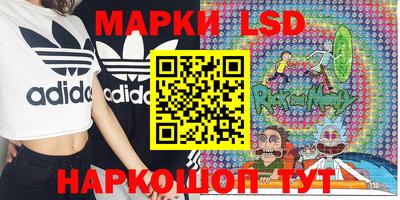 крисы Будённовск