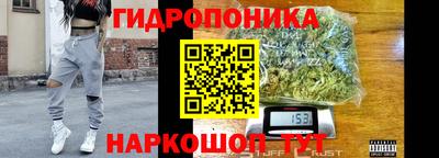 крисы Будённовск