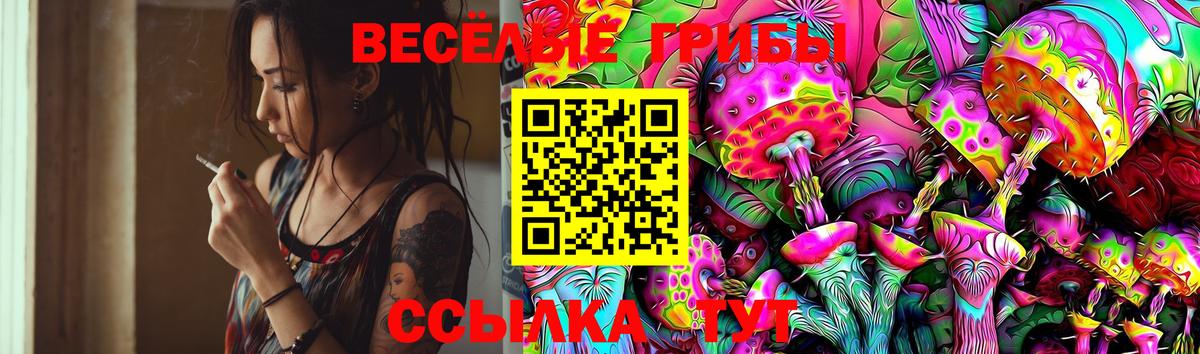 Шуя  Галлюциногенные грибы прущие грибы  Галлюциногенные грибы Psilocybe  Вход с VPN 